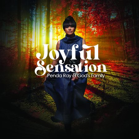 Joyful Sensation Cover